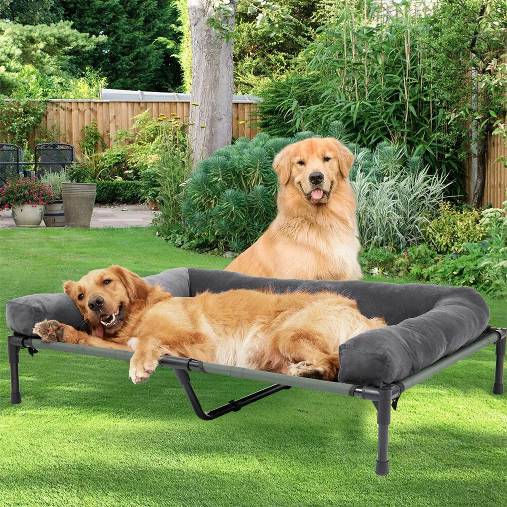 Outdoor Camping Cot - Cama Elevada para Cães BINGOPAW para