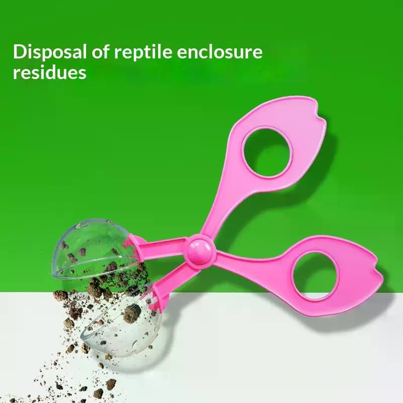 Conjunto de tesouras educacion - Outdoor Camping Activities For Kids avaliação e preço