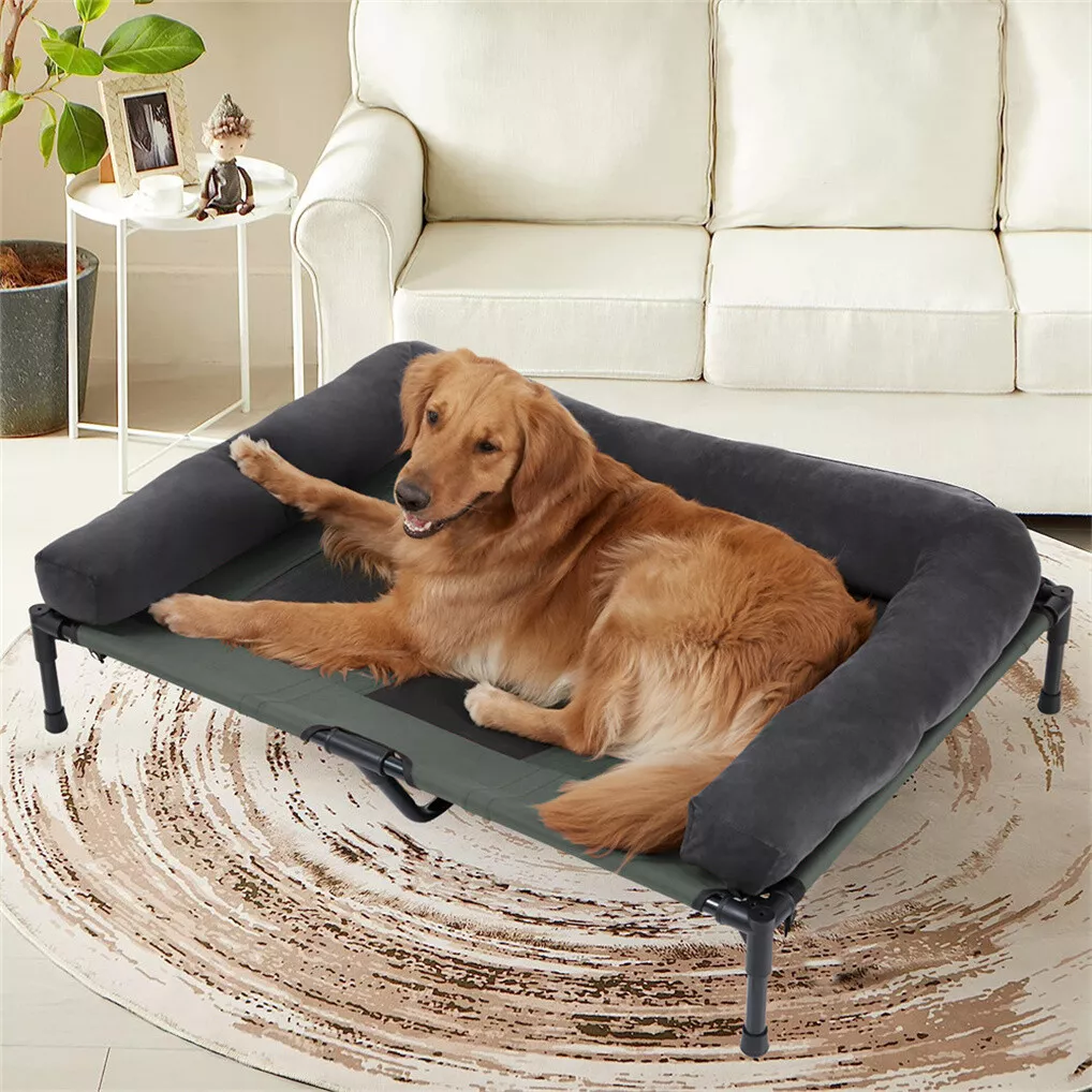 Cama Elevada para Cães BINGOPA - Outdoor Camping Cot avaliação e preço