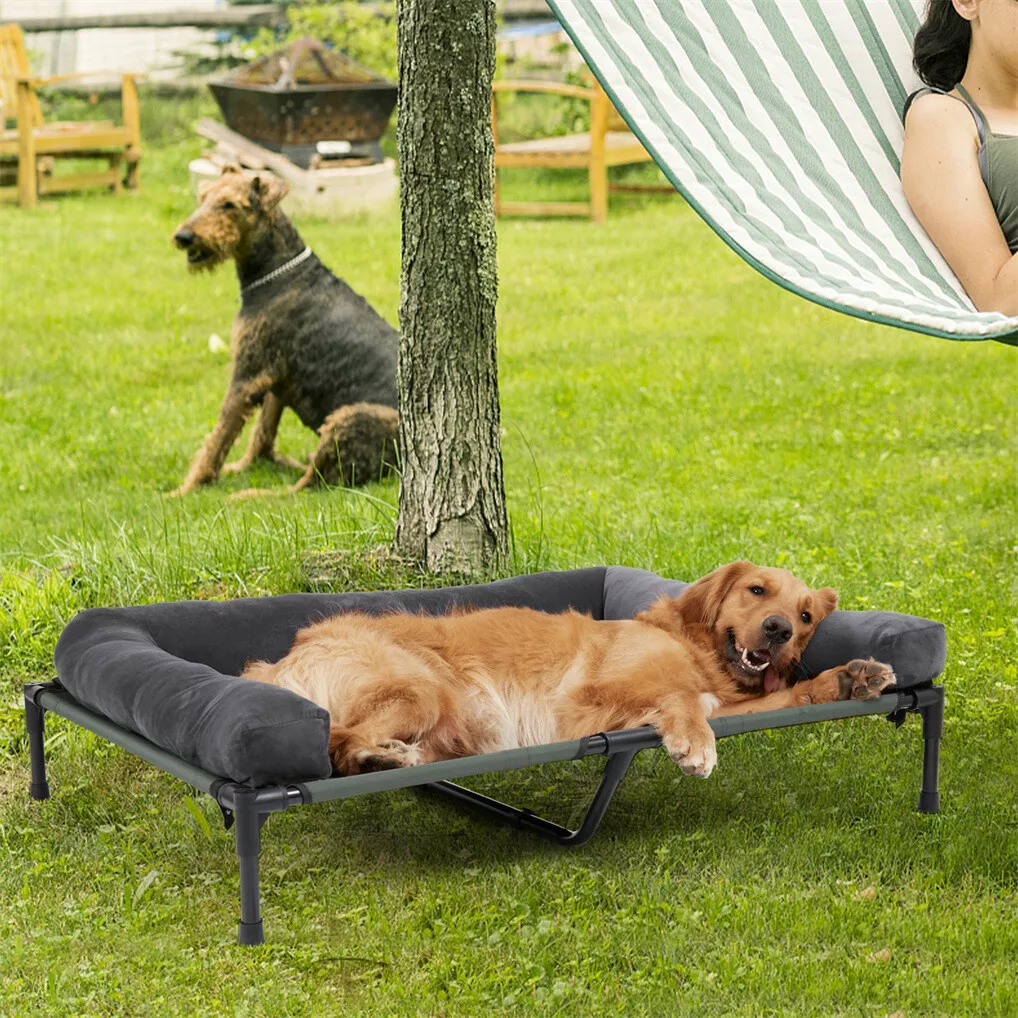 Cama Elevada para Cães BINGOPA - Outdoor Camping Cot avaliação e preço