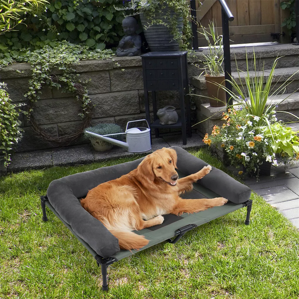 Cama Elevada para Cães BINGOPA - Outdoor Camping Cot avaliação e preço
